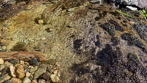 Small pebbles falling into clear water creating splashes and ripples Stock Footage 343734502