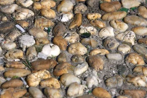 Small pebbles or rock background Stock Photos