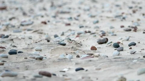 Small Pebbles Scattered on Sandy Beach Surface Stock Photos