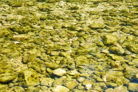 Small pebbles under the water in the river Stock Photos