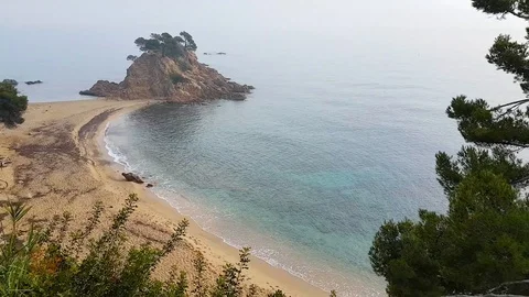A small peninsula with trees. Vídeos de archivo 86494930