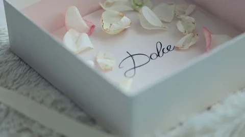 Small petals of white roses in a box Stock Footage 88625251
