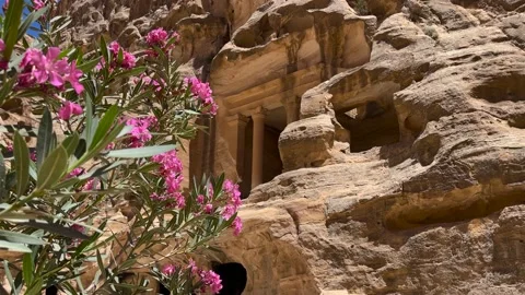 Small Petra of Jordan. The Monastery building behind twigs in the historic and Stock Footage 237809084