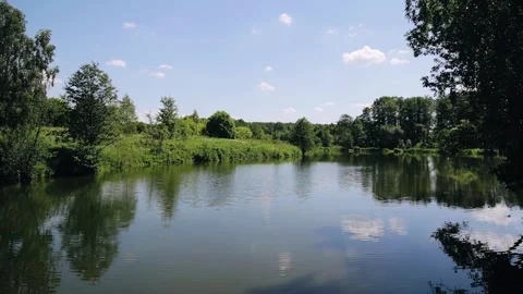 A small picturesque pond in the middle of a forest area Stock Footage 340652636