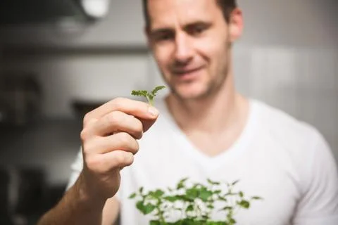 Small piece of aromacity Foto stock