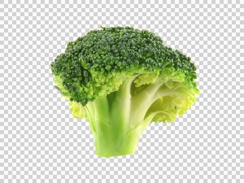 Small pieces of broccoli isolated on white background. Stock Photos
