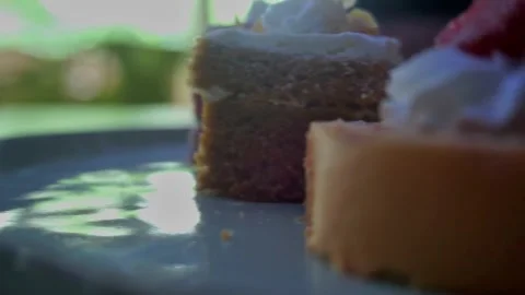Small pieces of cake with various toppings Stock Footage 254643715