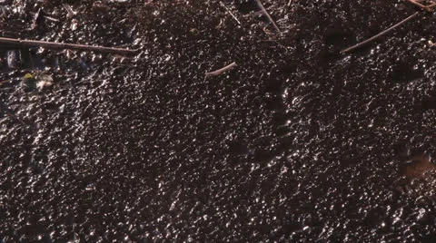 Small pieces of ice on water 库存影片 22909386
