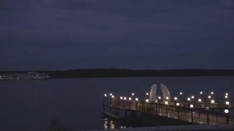 A small pier at night in lights 스톡 동영상 329248869