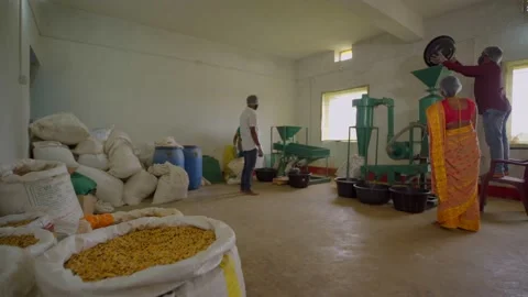 Small Pigeon peas processing mill plant in village india Stock Footage 217905954