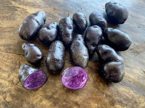 Small pile of bright purple lumpy maori potatoes  Stock Photos