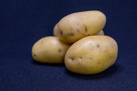 A small pile of fresh, light-skinned potatoes rests on a dark blue fabric bac Stock Photos