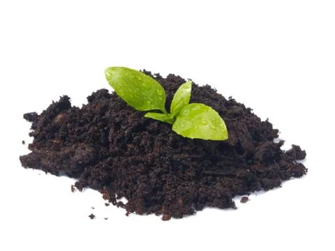 Small pile of peat Stock Photos