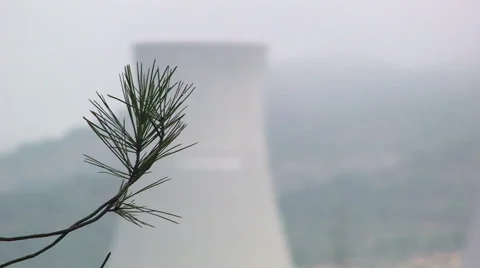 Small pine branch in front of nuclear cooling tower Stock Footage 49963902