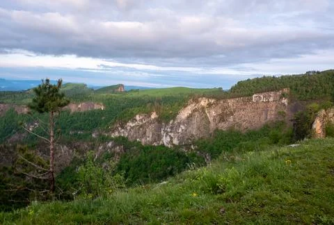 A small pine tree on the slope against the background of mountain expanses Stock Photos