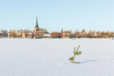 Small pine tree on snow covered frozen lake in Swedish town of Mora in winter Stock Photos