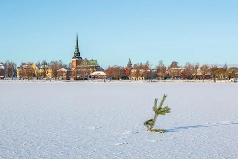 Small pine tree on snow covered frozen lake in Swedish town of Mora in winter Stock Photos