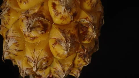 Small Pineapple Rotating in Macro View Showing Yellow Segments and Brown Spikes Stock Footage 310668436