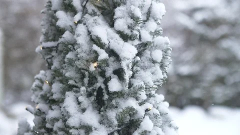 Small pinetree with lights in the snow Stock-Footage 86790479