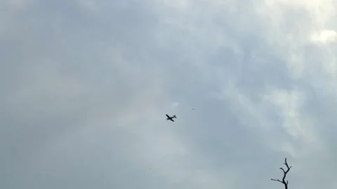 Small Plane Flying Across the Sky Stock Footage 300603888