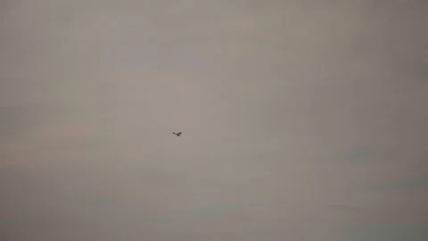 Small plane flying over the sea. Stock Footage 299649606