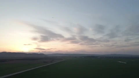 Small plane flying over the wheat field in to the sunset Stock Footage 151496862
