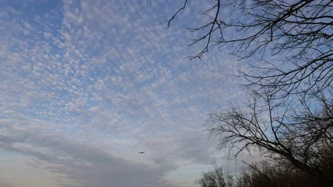 Small Plane flying into view, clouds in the sky- Ultra wide. Knoxville, TN. Stock Footage 234015225