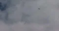 Small Plane Pulls Banner 03 HD Footage