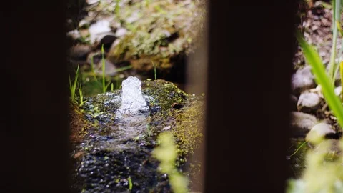 A small plant-lined pond, in the middle of which a small fountain gushes Video stock 117714585