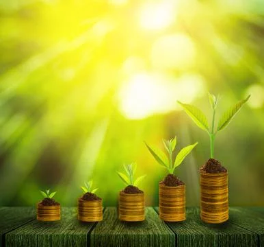 Small plant Stock Photos
