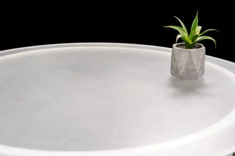 Small plant placed on a round table with a smooth surface in a simple setting Stock Photos