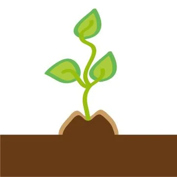 Small plant on white background. Stock Illustration