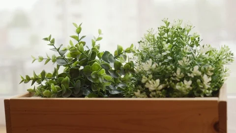 Small plants in pots with decoration items placed on a wooden box Stock Footage 91884473