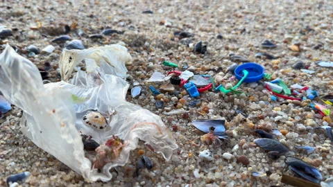 Small plastic pieces lying on beach, problem of microplastics pollution Stock Footage 237753565