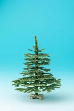 Small plastic tree on a blue background Stock Photos