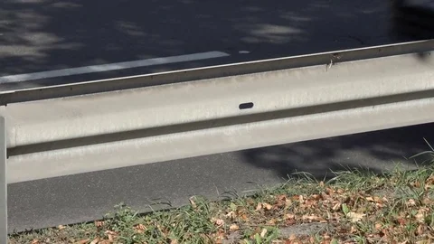 Small plot of asphalt road Stock Footage 80459477