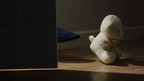 Small Plush Bear Toy Is Kicked In A Dark Empty Room With Door Closing Stock Footage 124623462