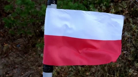 A small Polish flag flutters in the wind. A symbol of patriotism, strength Stock Footage 220328521