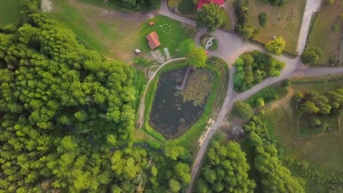 Small pond and houses in forest. Top down aerial view. Stock Footage 245308853