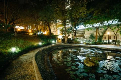 Small pond and modern buildings at night, from Hong Kong University, in Hong  Stock Photos