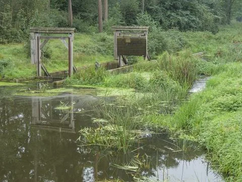 Small pond with bridge structure and surrounded by lush vegetation, quiet and Foto stock