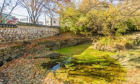 Small pond covered in green algae in an urban public park Stock Photos