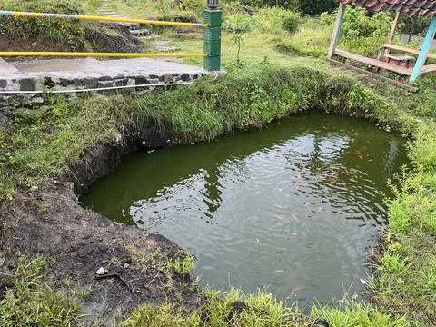 Small pond filled with fish surrounded by metal fence Stock Photos