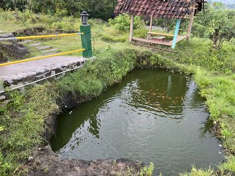 Small pond filled with fish surrounded by metal fence Stock Photos