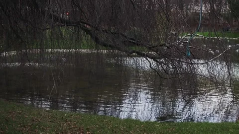 Small pond at the foot of the Eiffel Tower in Paris, France Stock Footage 170467346