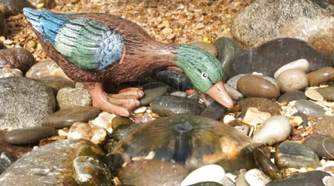 Small pond Stock Footage 8664664