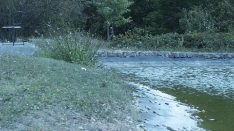 A small pond Stock Footage 119099038
