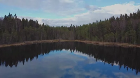 Small pond Stock Footage 130801188
