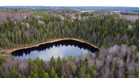 Small pond Stock Footage 130858796