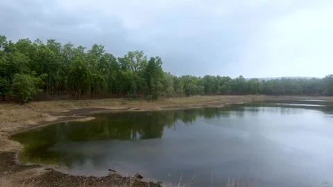 A small pond Stock Footage 205072782